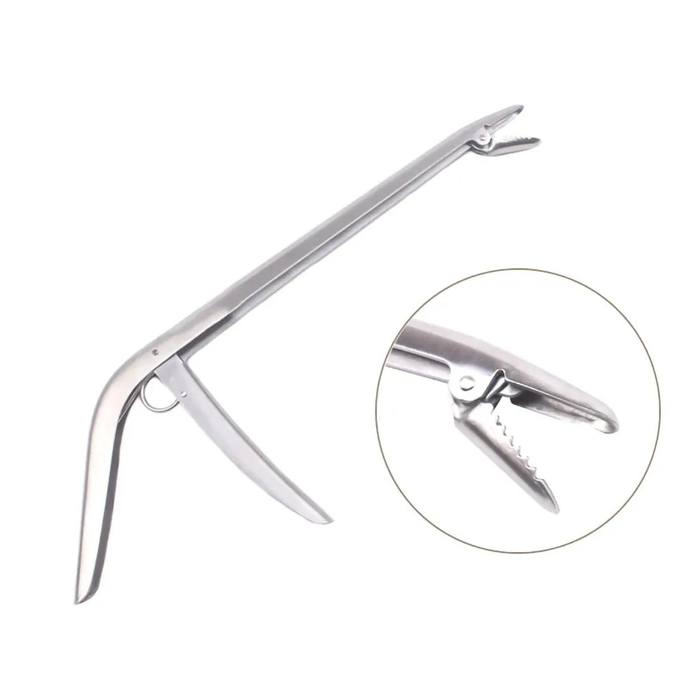 SANLIKE Stainless Steel Fishin - Fishing Hook Stainless Steel 评论和价格