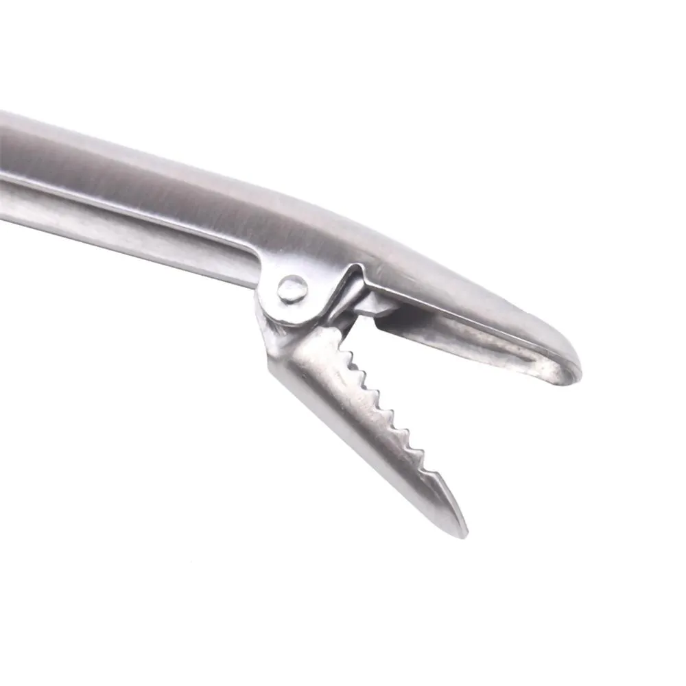 SANLIKE Stainless Steel Fishin - Fishing Hook Stainless Steel 评论和价格
